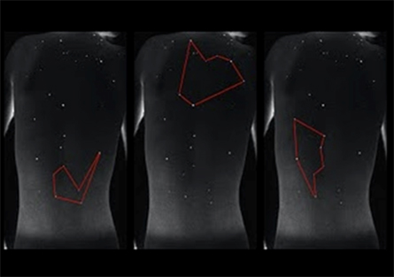 Dani Soter, Constelação de Alexis Dani Soter, Constelação de Alexis