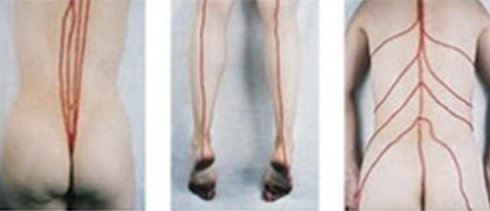 Dani Soter, À Mostra Dani Soter, À Mostra